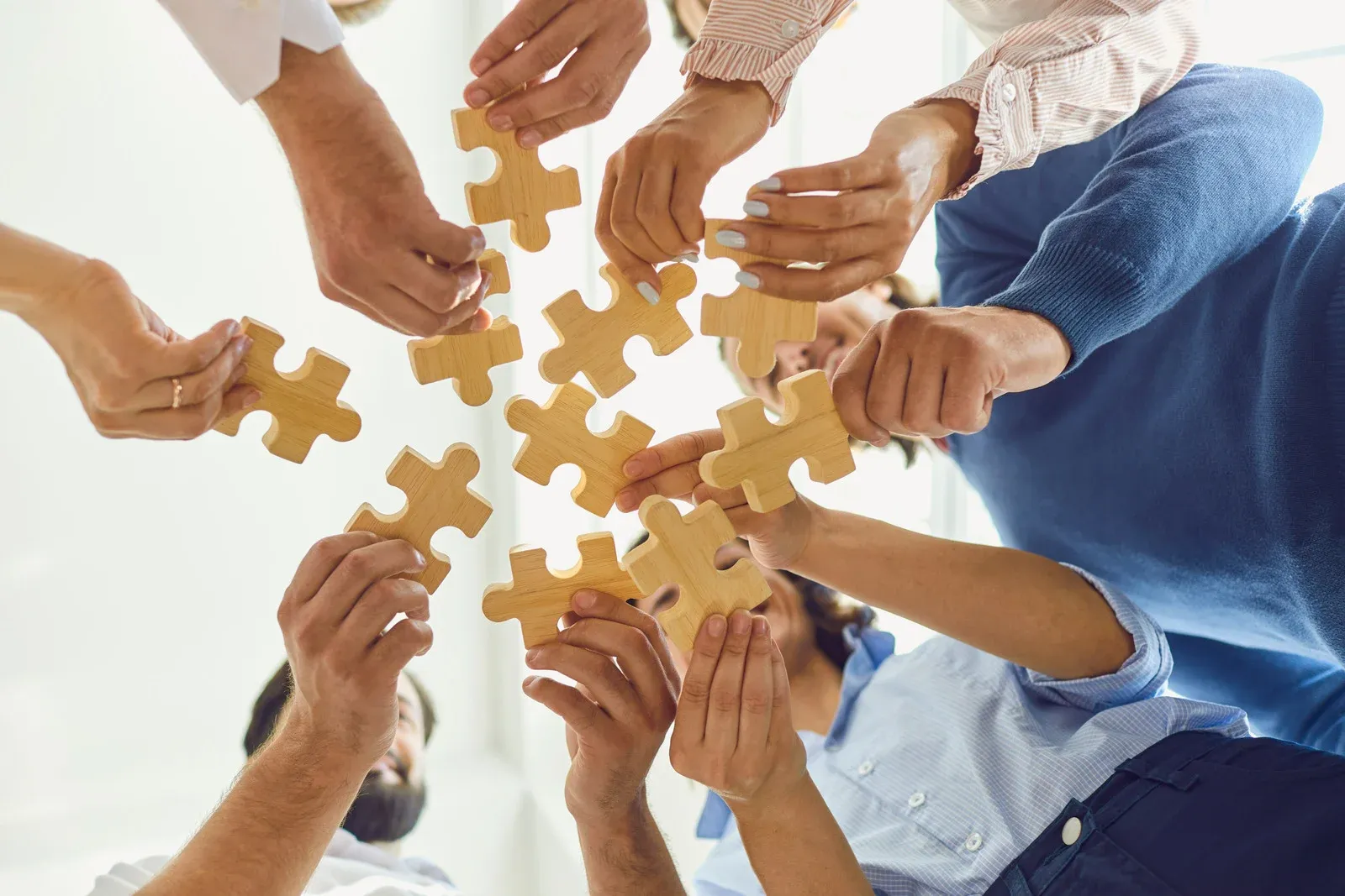 Experienced Team